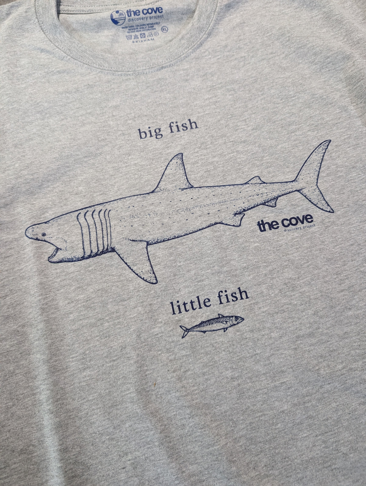 Big fish little fish, organic T