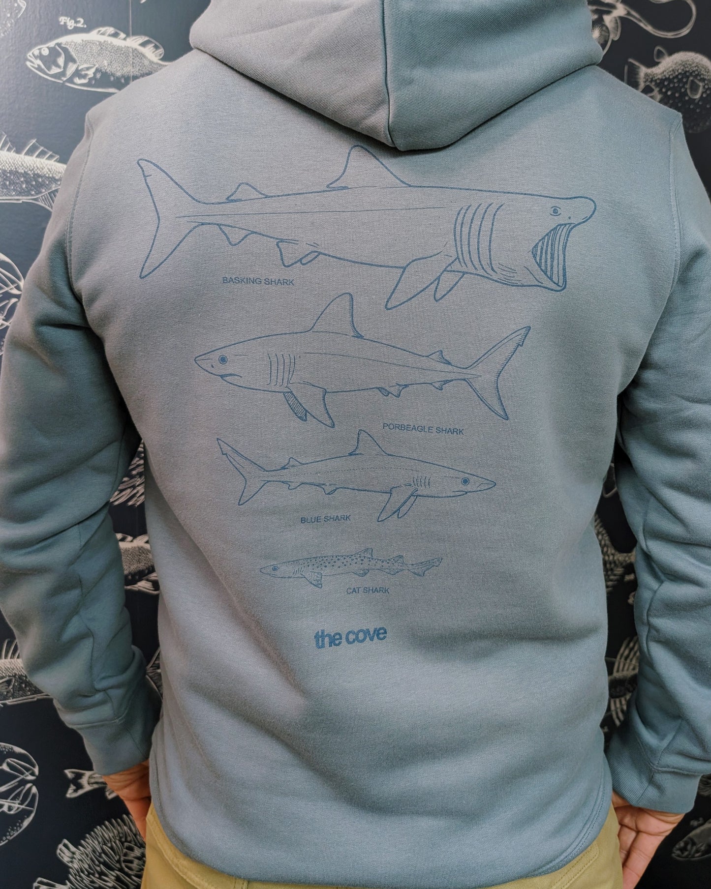 Shark Hoodie