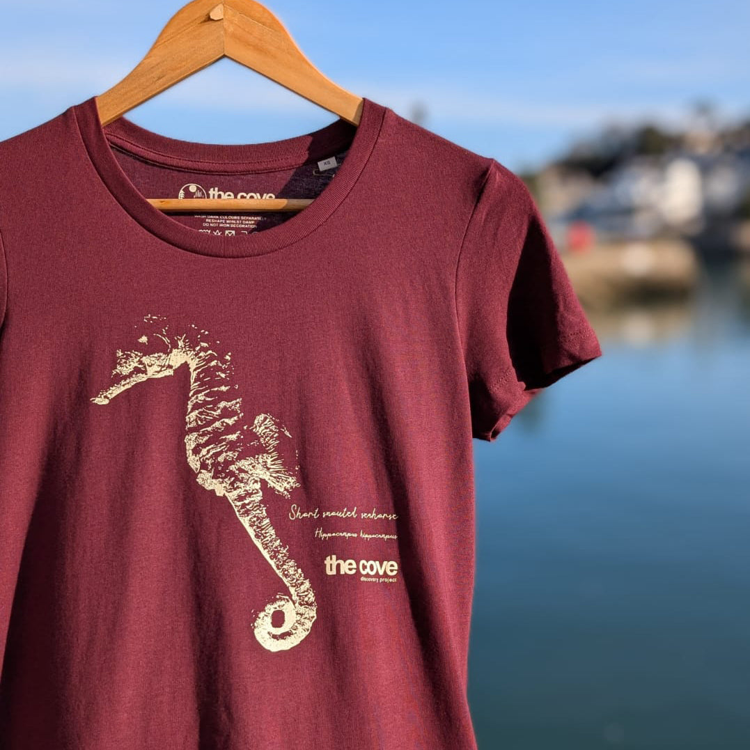 Organic cotton t-shirts, Ethical fashion South Devon, sustainable beachwear, Ethical t-shirts UK, tee, grey seal, Clothing for ocean lovers, Sustainable casual wear, Marine life-inspired clothing, Coastal lifestyle wear, ladies fit, womens, seahorse,