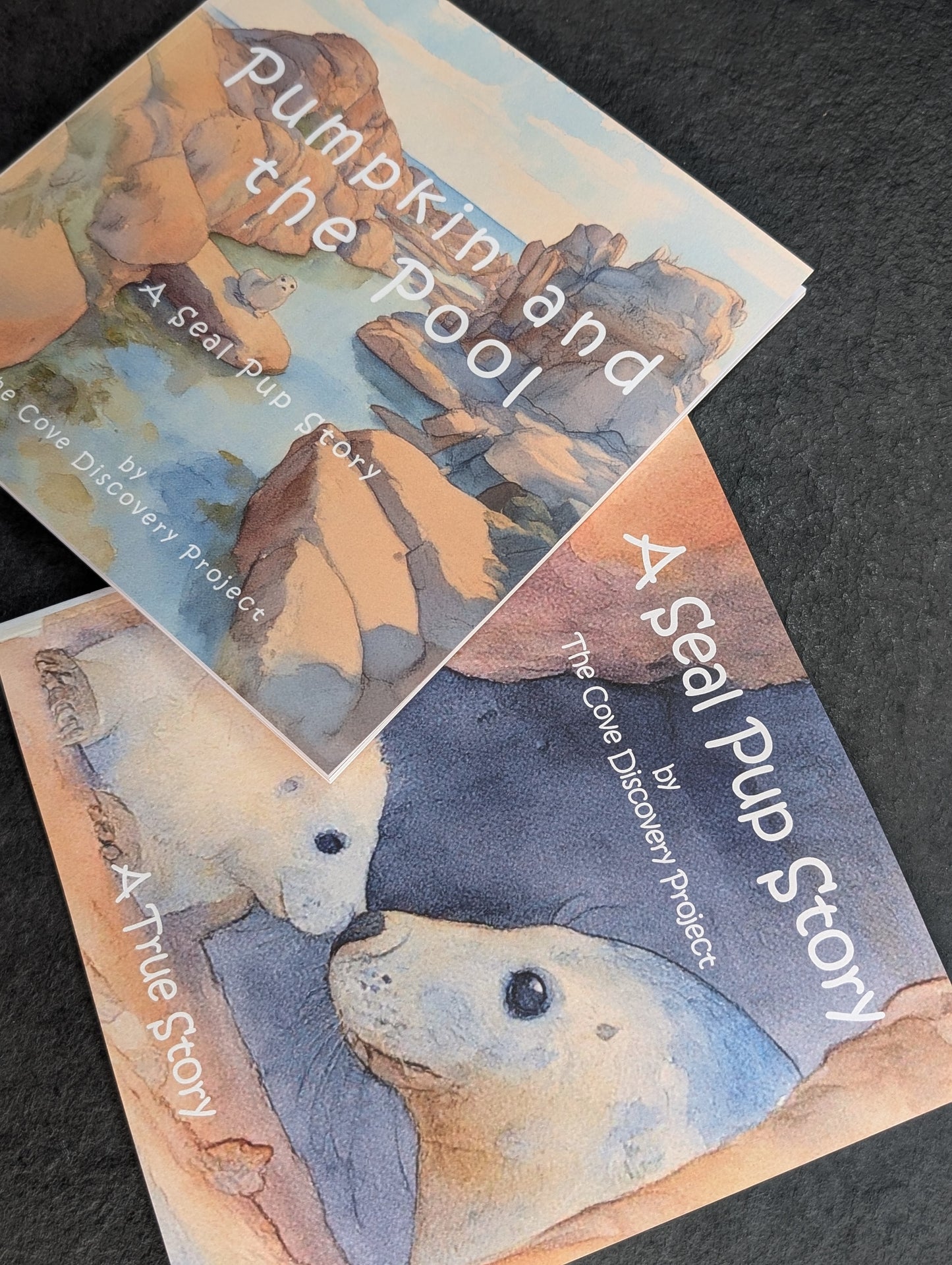 Pumpkin and the Pool - Children's Book