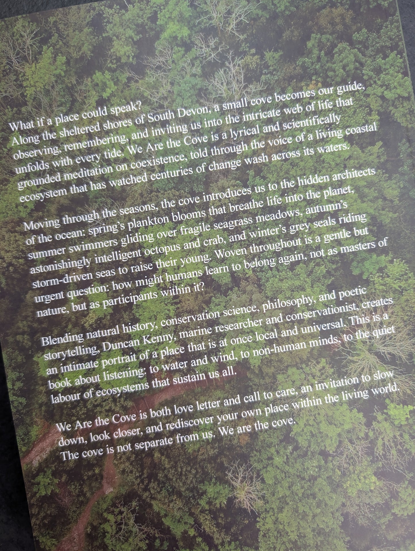 We are the Cove by Duncan Kenny