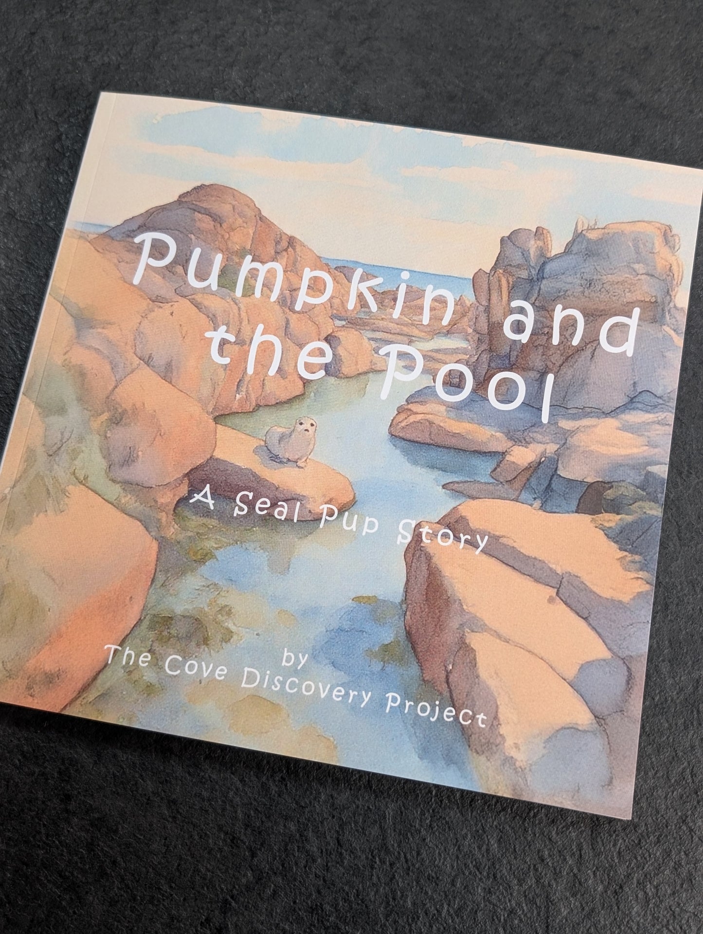 Pumpkin and the Pool - Children's Book