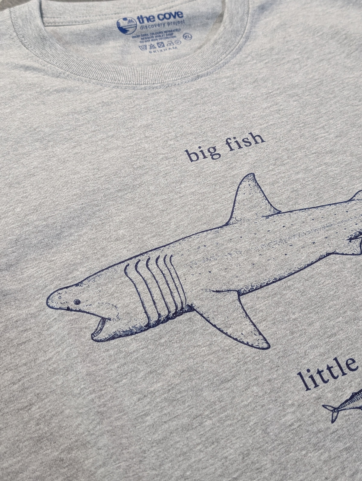 Big fish little fish, organic T