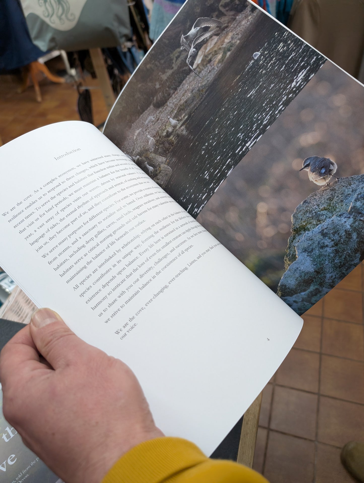 We are the Cove by Duncan Kenny