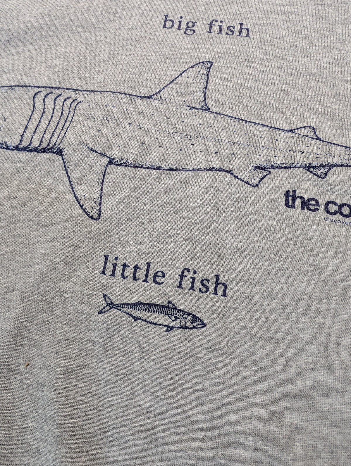 Big fish little fish, organic T
