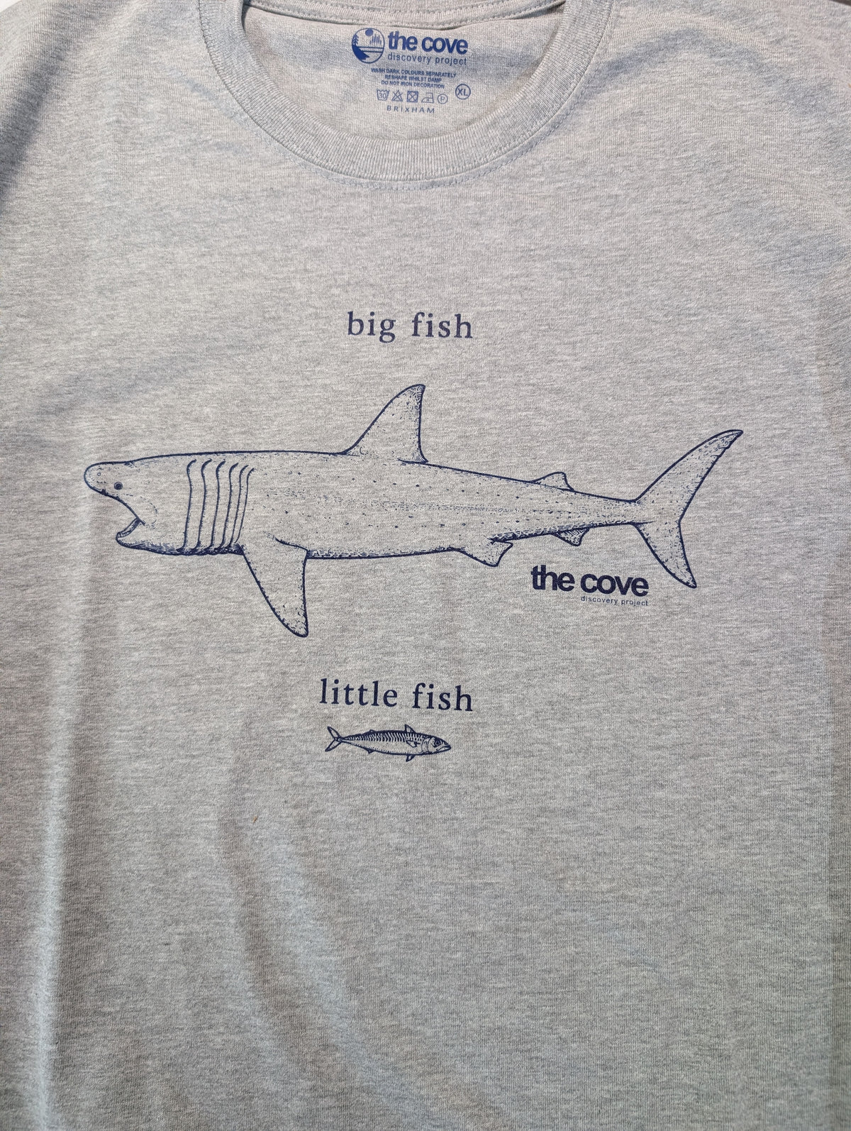 Big fish little fish, organic T