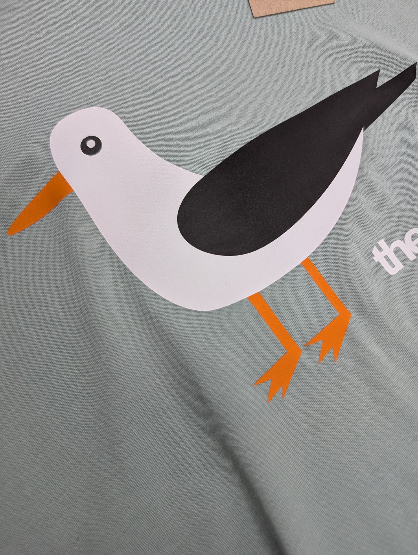 Black Back Gull T Shirt
