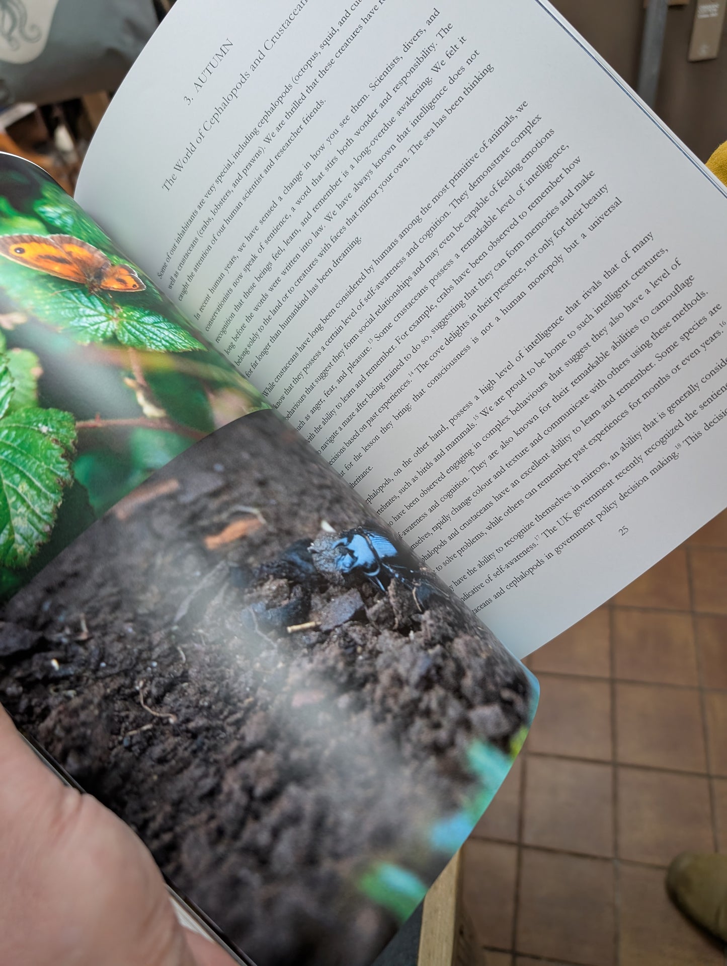 We are the Cove by Duncan Kenny